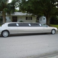 Limousine